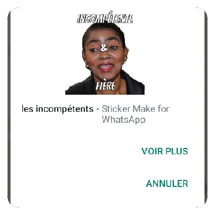Un sticker présentant Ossouka comme une « incompétente et fière » fait le tour des groupes WhatsApp